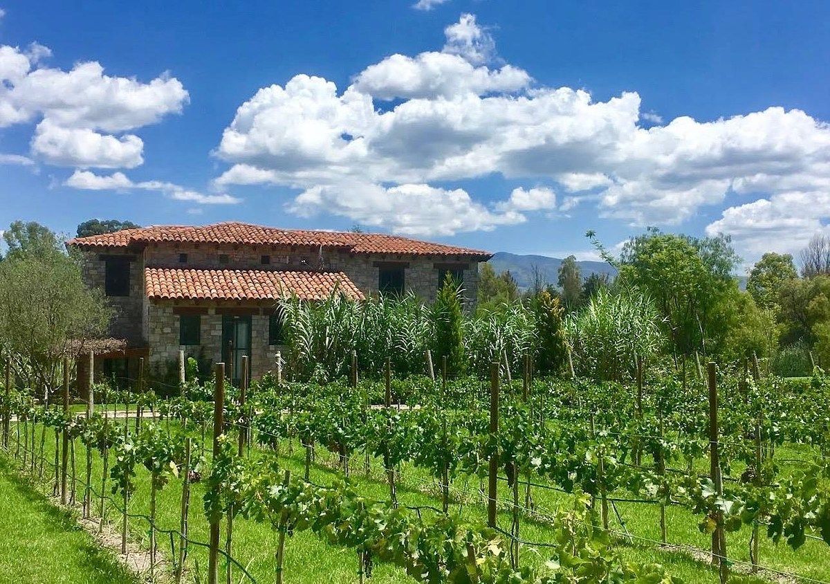 À venda terreno em Viñedo San Lucas - San Miguel de Allende, foto 1 de 8