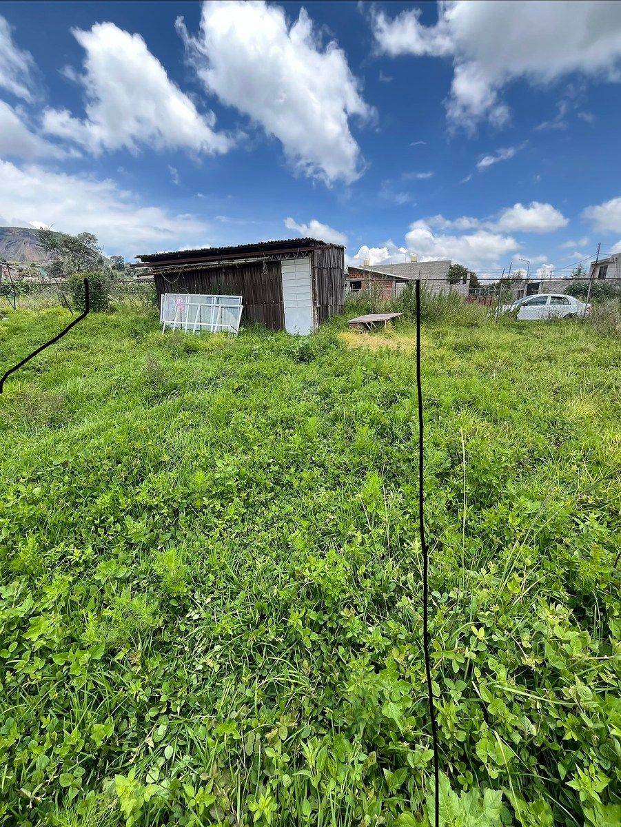 Terreno en Tlalmanalco, Tlalmanalco, foto 5 de 9