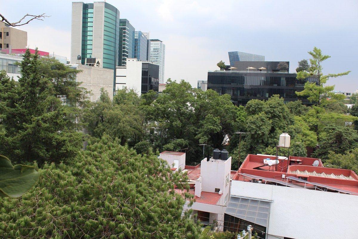 Departamento en Lomas de Chapultepec I Sección, Miguel Hidalgo, foto 10 de 38
