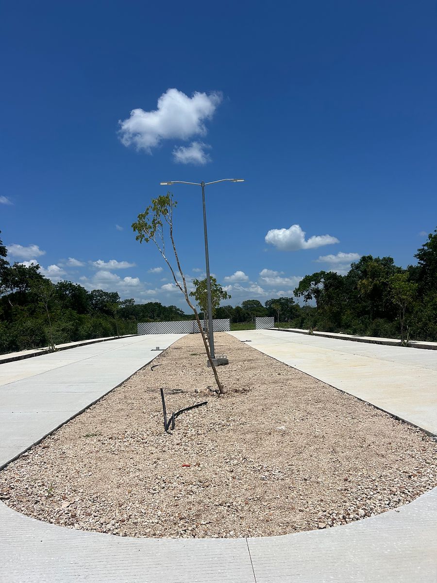 Lot in Chablekal, Mérida, photo 26 of 30