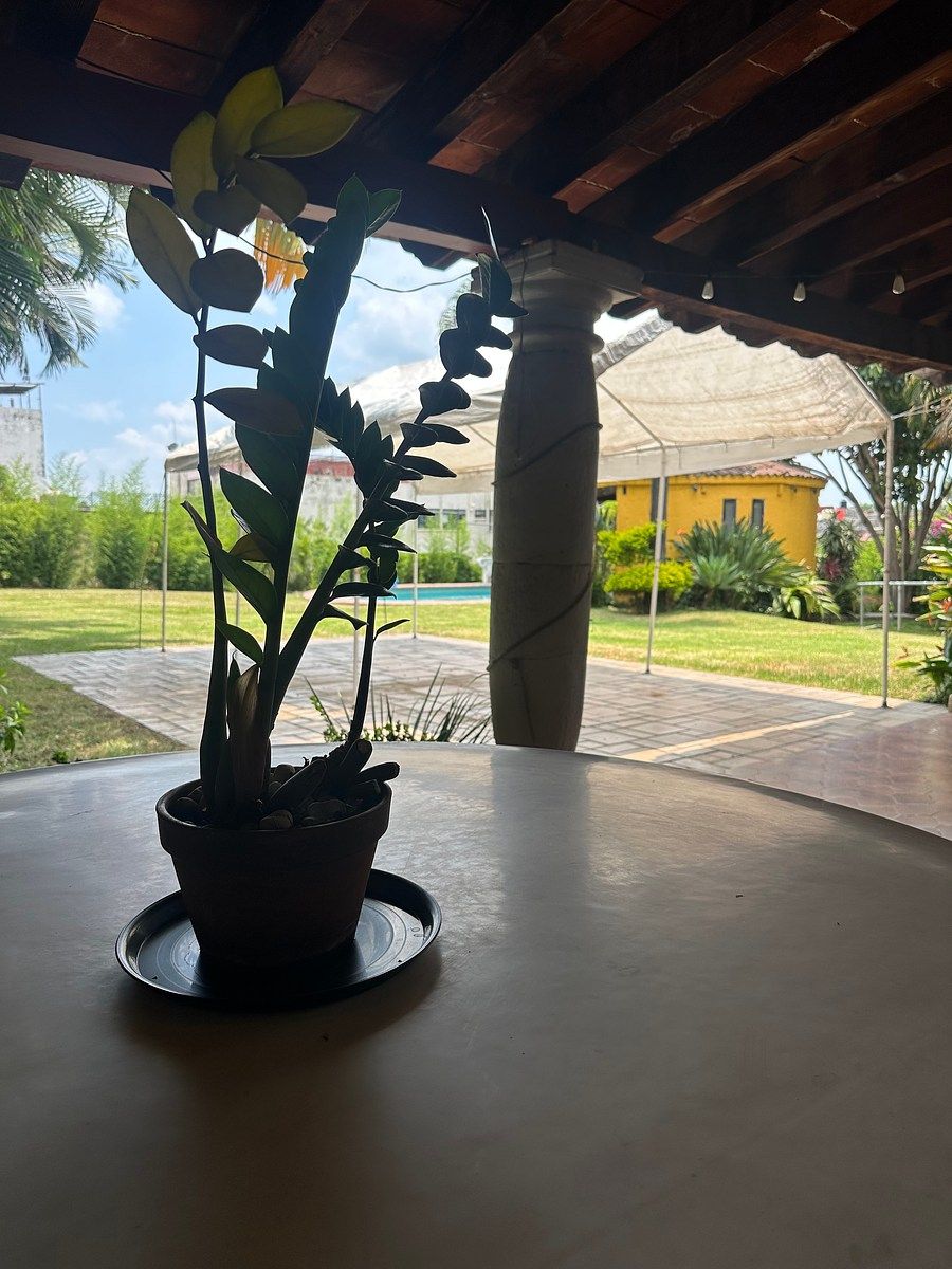 Casa em La Carolina, Cuernavaca, foto 45 de 45
