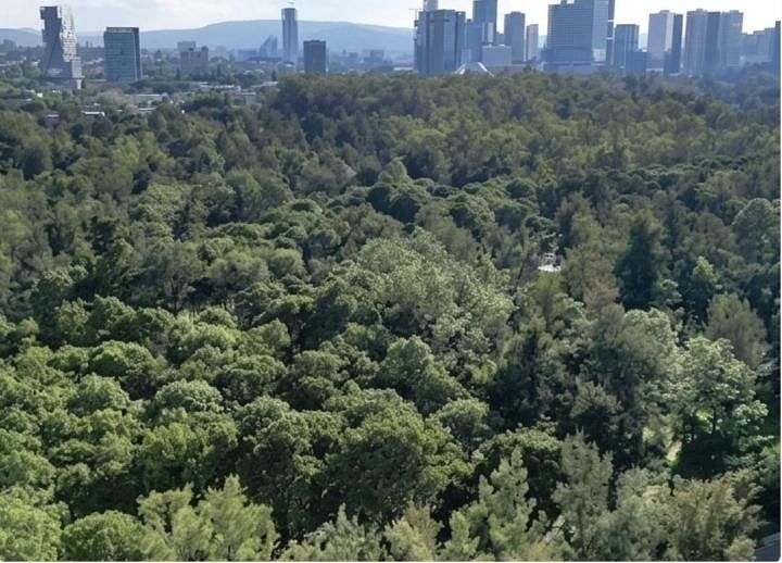 Apartamento em Lomas del Chamizal, Cuajimalpa de Morelos, foto 5 de 9