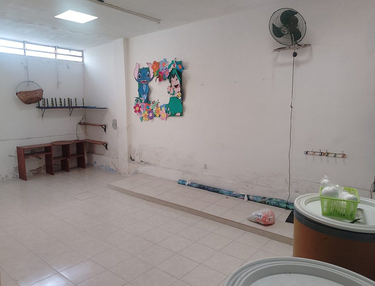House for sale in the Center of Merida - foto 4