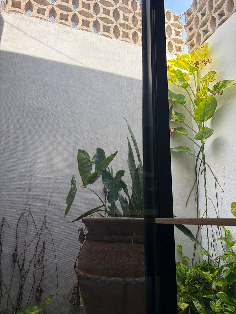 Casa em Bojorquez, Mérida, foto 3 de 14