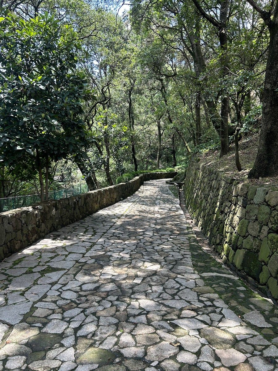 Casa en condominio en Lomas de Vista Hermosa, Cuajimalpa de Morelos, foto 14 de 14