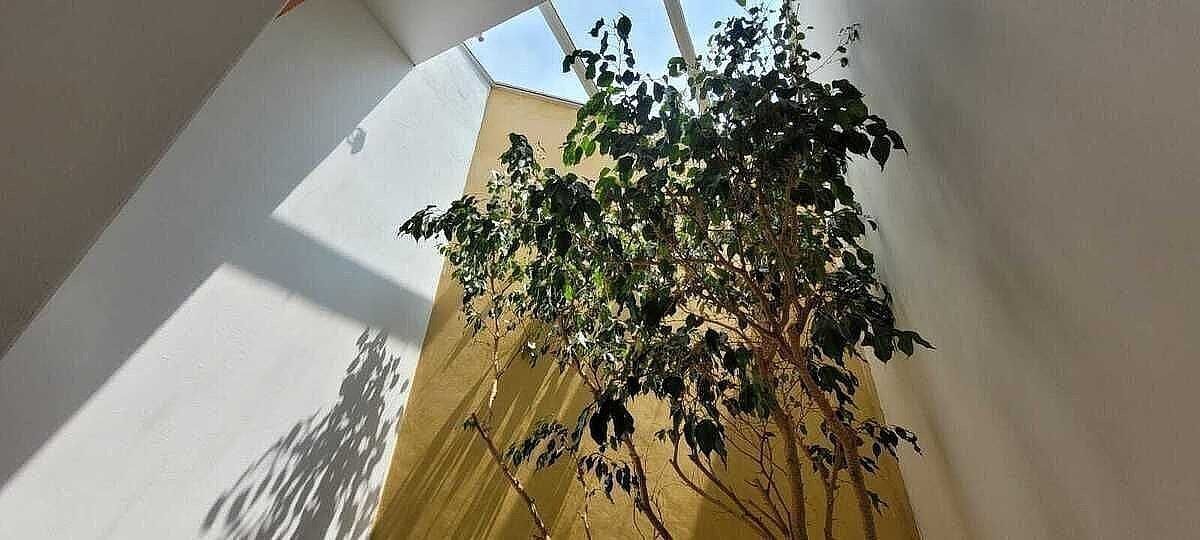 Casa em Jardines en la Montaña, Tlalpan, foto 8 de 50