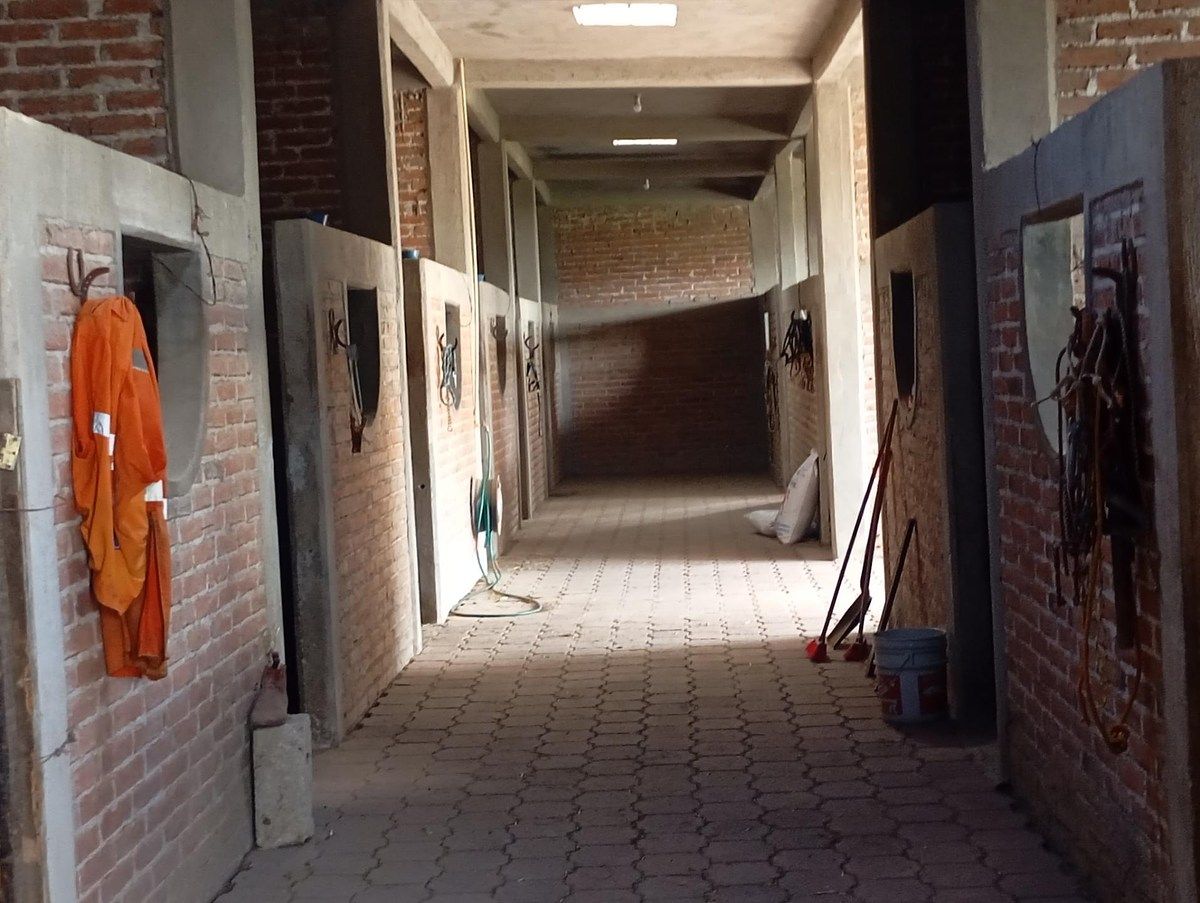 Casa en Acayuca, Zapotlán de Juárez, foto 16 de 21