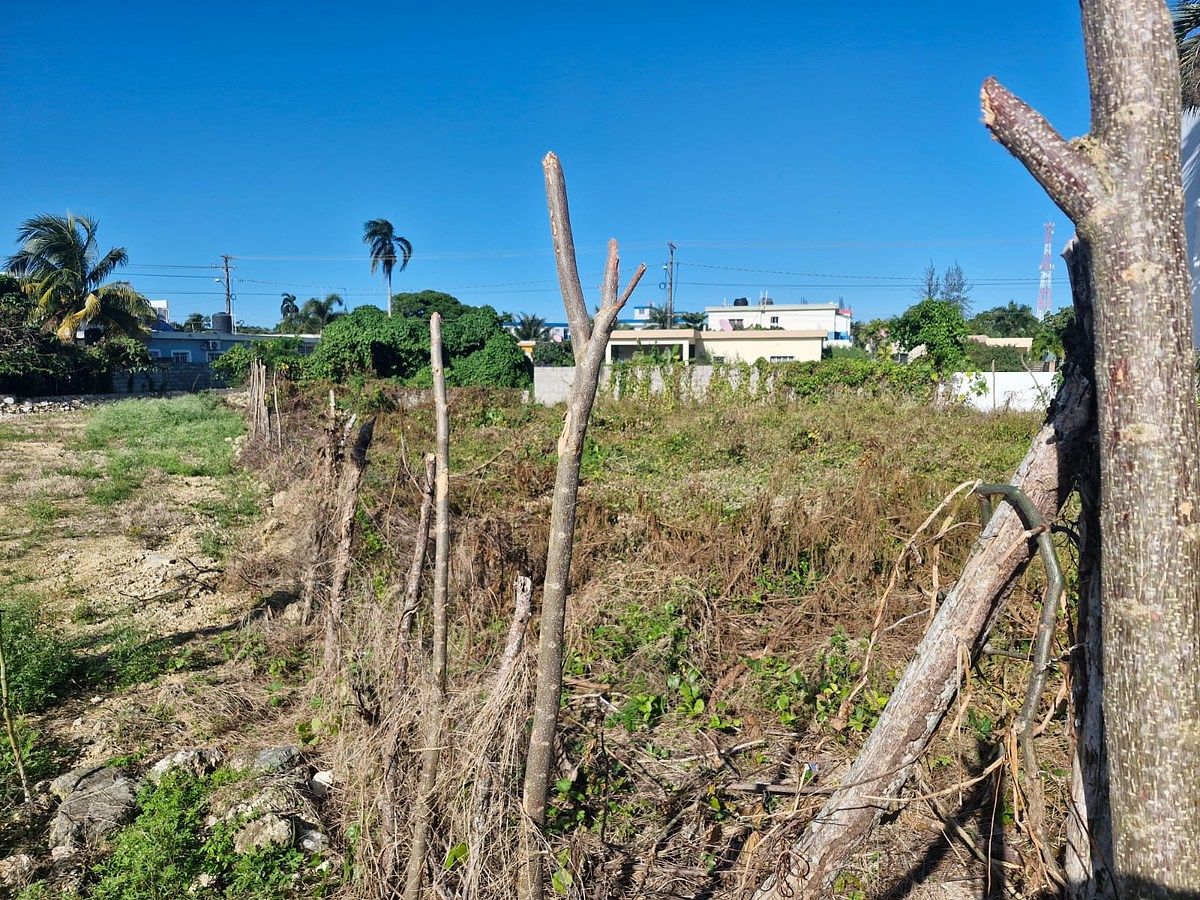 Terreno en Cabrera, foto 4 de 6