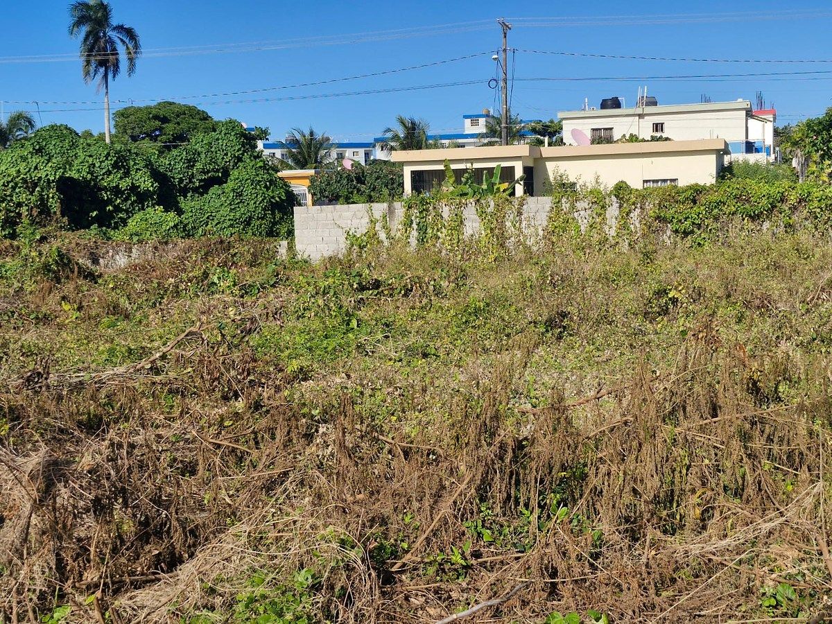 Terreno en Cabrera, foto 6 de 6