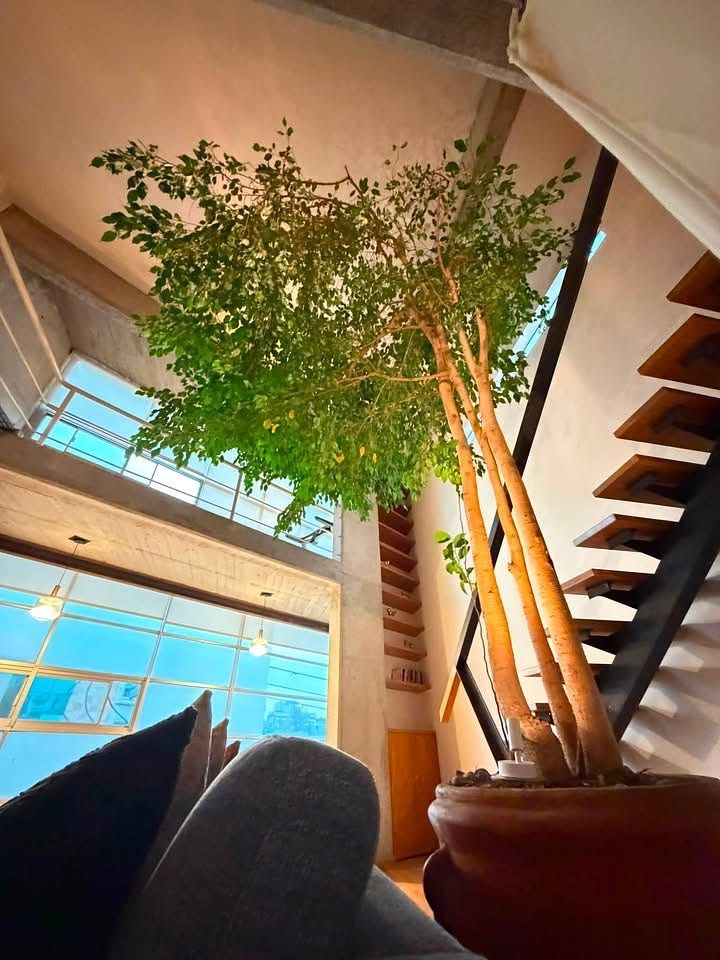 Precioso loft enfrente plaza toros, foto 1 de 15