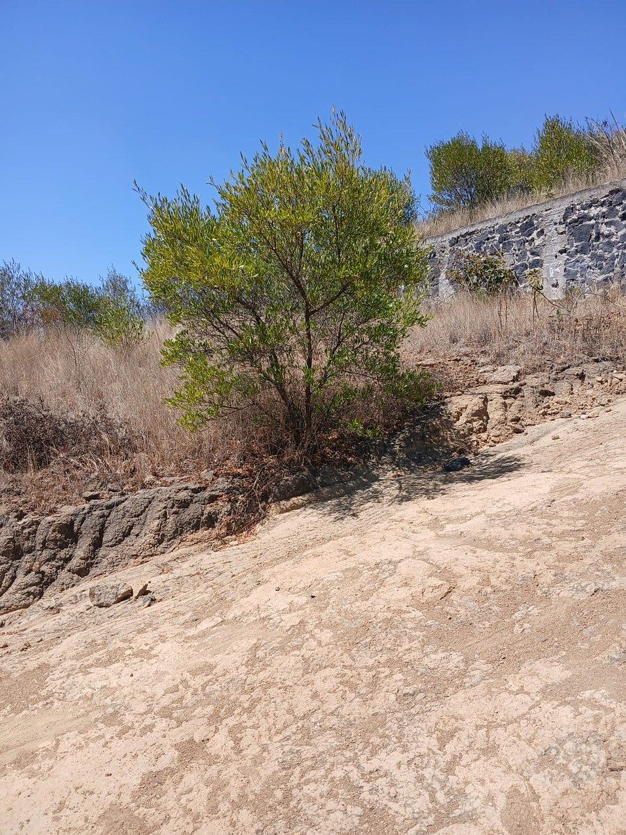 Lot in Coronango, Coronango, photo 5 of 6