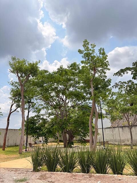 Terreno en Cholul, Mérida, foto 4 de 9