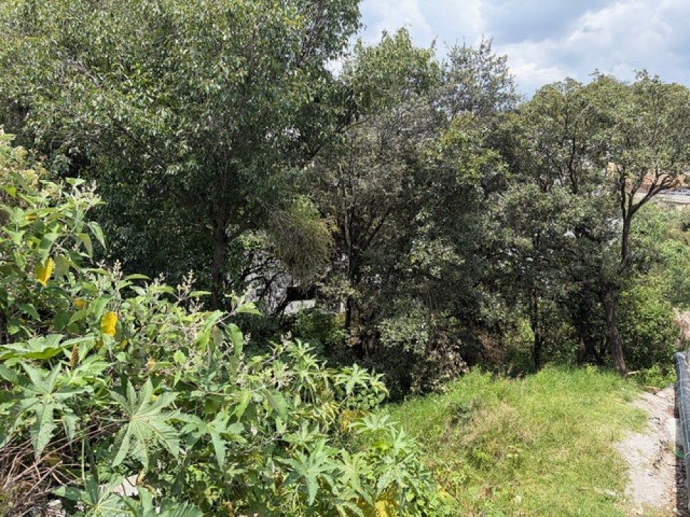 Terreno en Bosque Real, Huixquilucan, foto 9 de 14