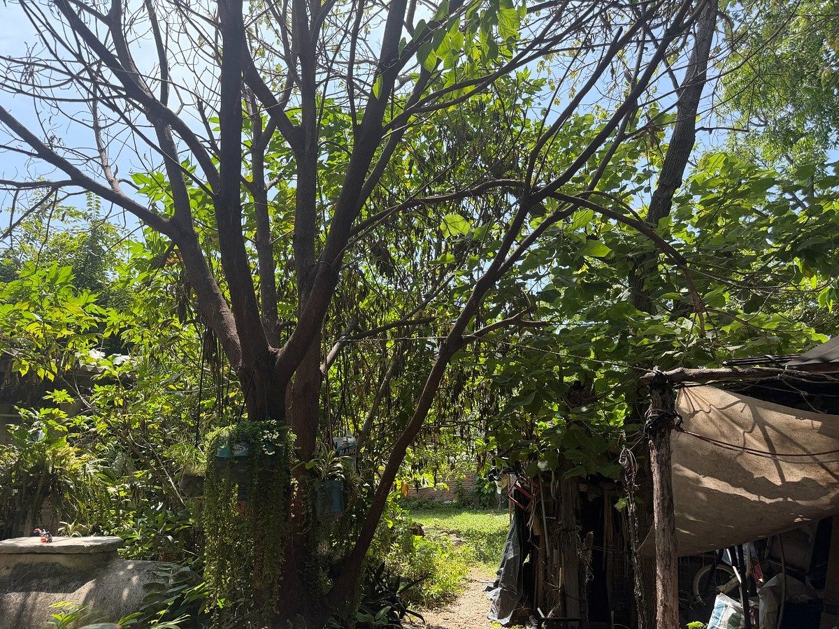 Lote em Pistimbak, Tuxtla Gutiérrez, foto 10 de 14