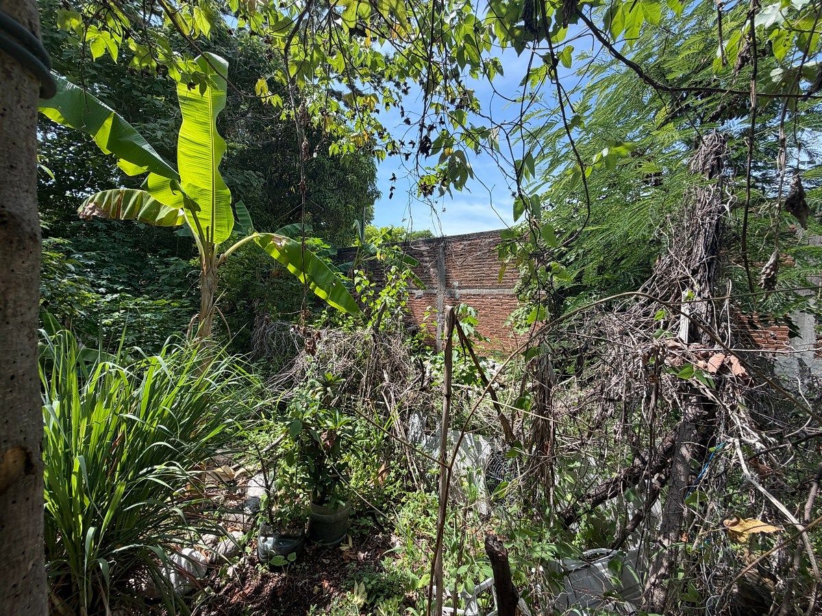 Lote em Pistimbak, Tuxtla Gutiérrez, foto 11 de 14