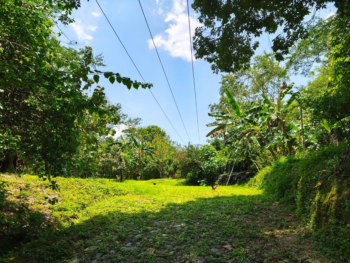 Lot in Minatitlán, Minatitlán, photo 2 of 24