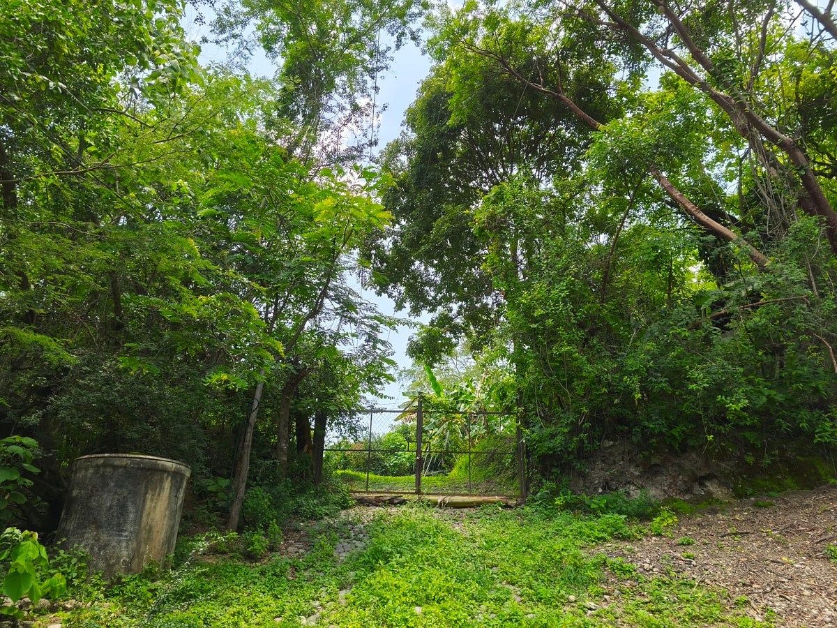 Land for sale in Minatitlán, Colima, photo 1 of 24