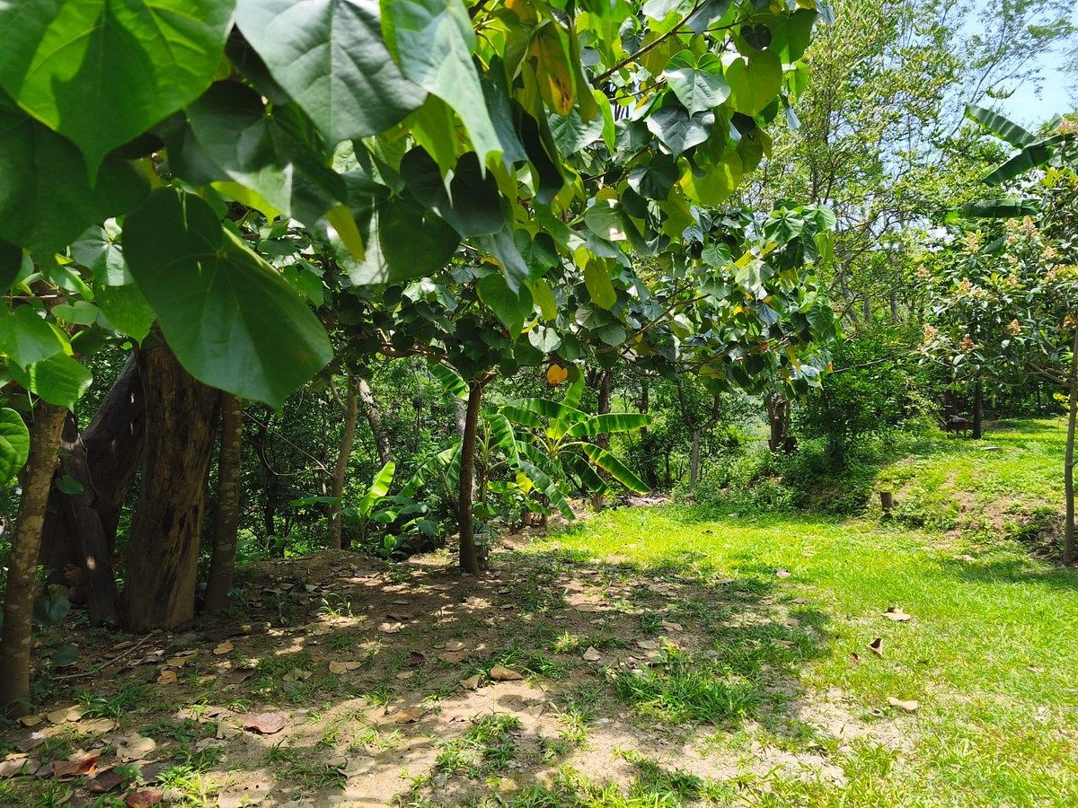 Lot in Minatitlán, Minatitlán, photo 4 of 24