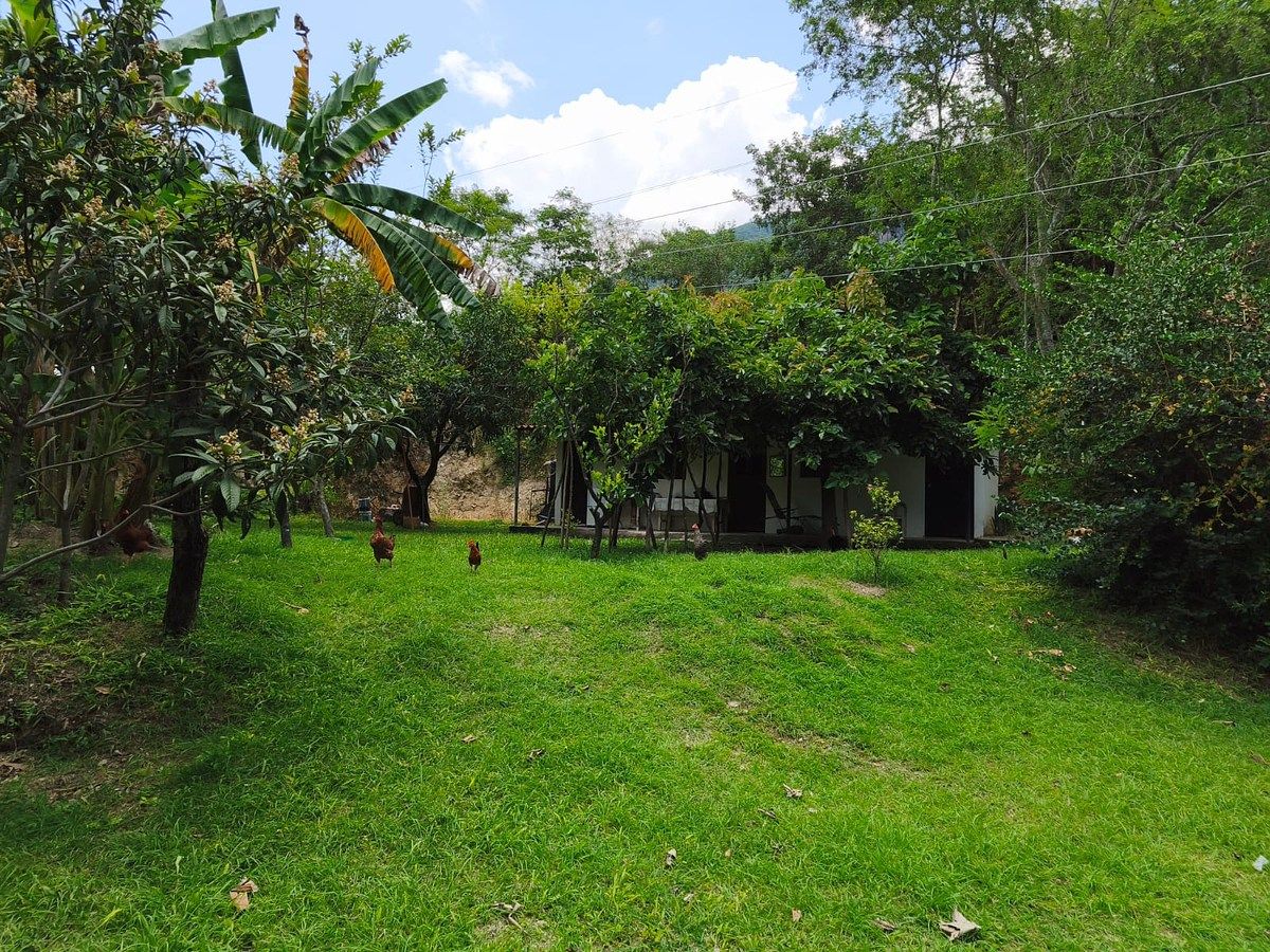 Lot in Minatitlán, Minatitlán, photo 5 of 24