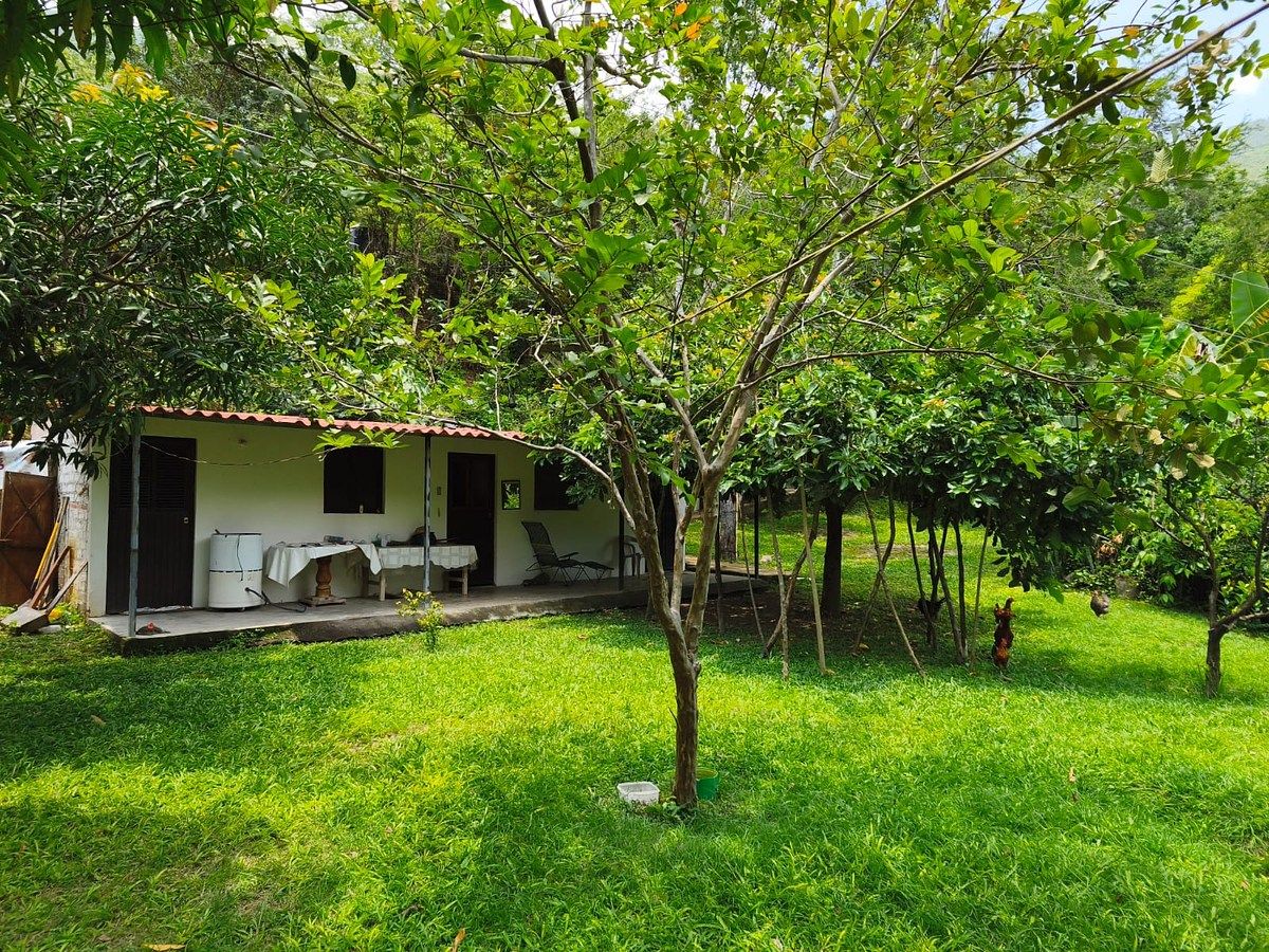 Lot in Minatitlán, Minatitlán, photo 6 of 24
