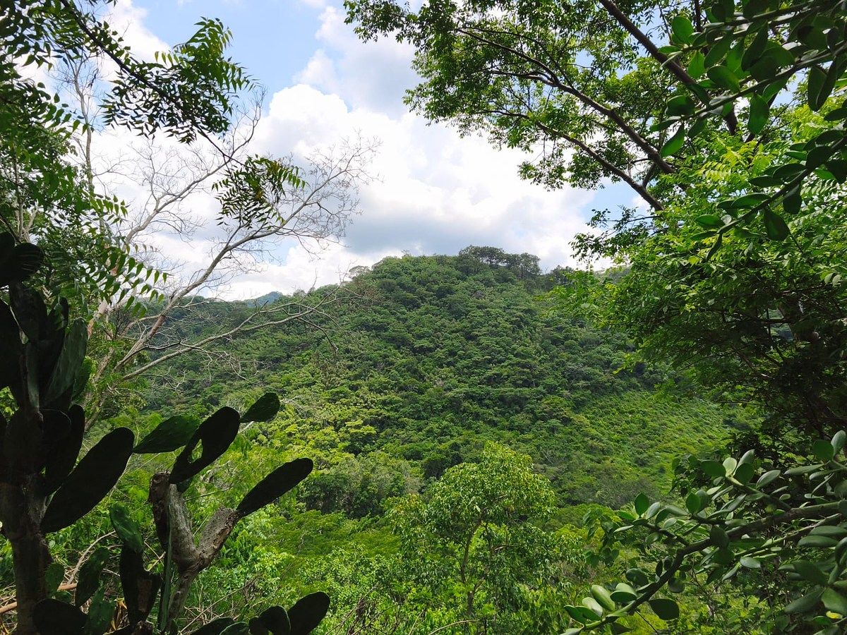 Lot in Minatitlán, Minatitlán, photo 8 of 24