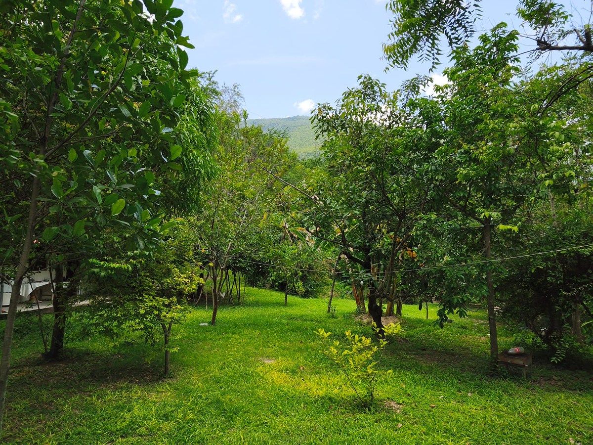 Lot in Minatitlán, Minatitlán, photo 9 of 24