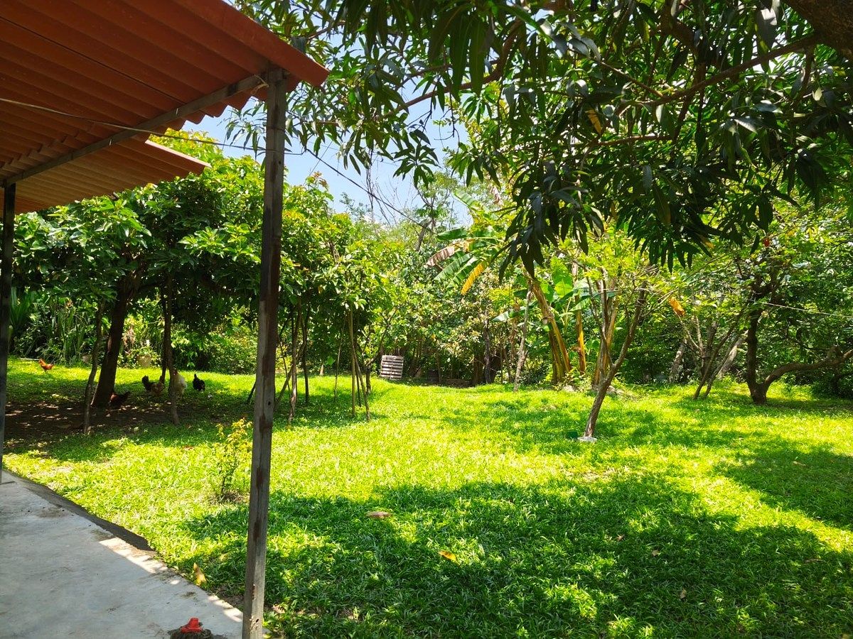 Lot in Minatitlán, Minatitlán, photo 12 of 24