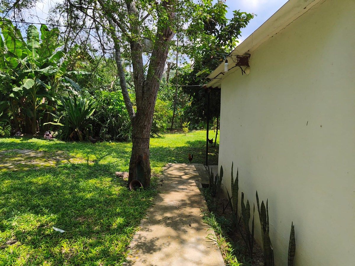Lot in Minatitlán, Minatitlán, photo 14 of 24