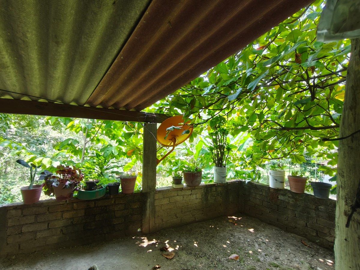 Lot in Minatitlán, Minatitlán, photo 20 of 24
