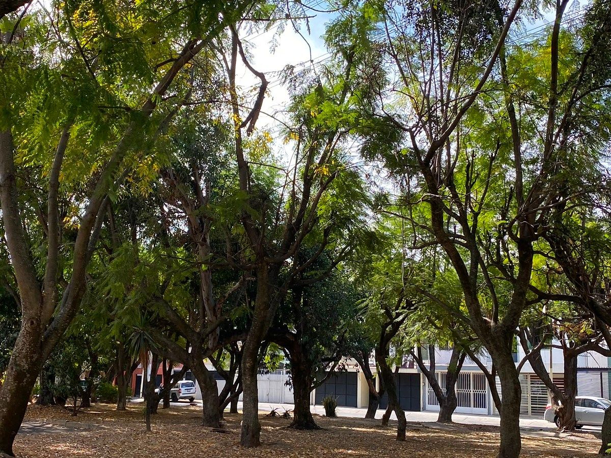 Apartment in Paseos del Sol, Zapopan, photo 17 of 17
