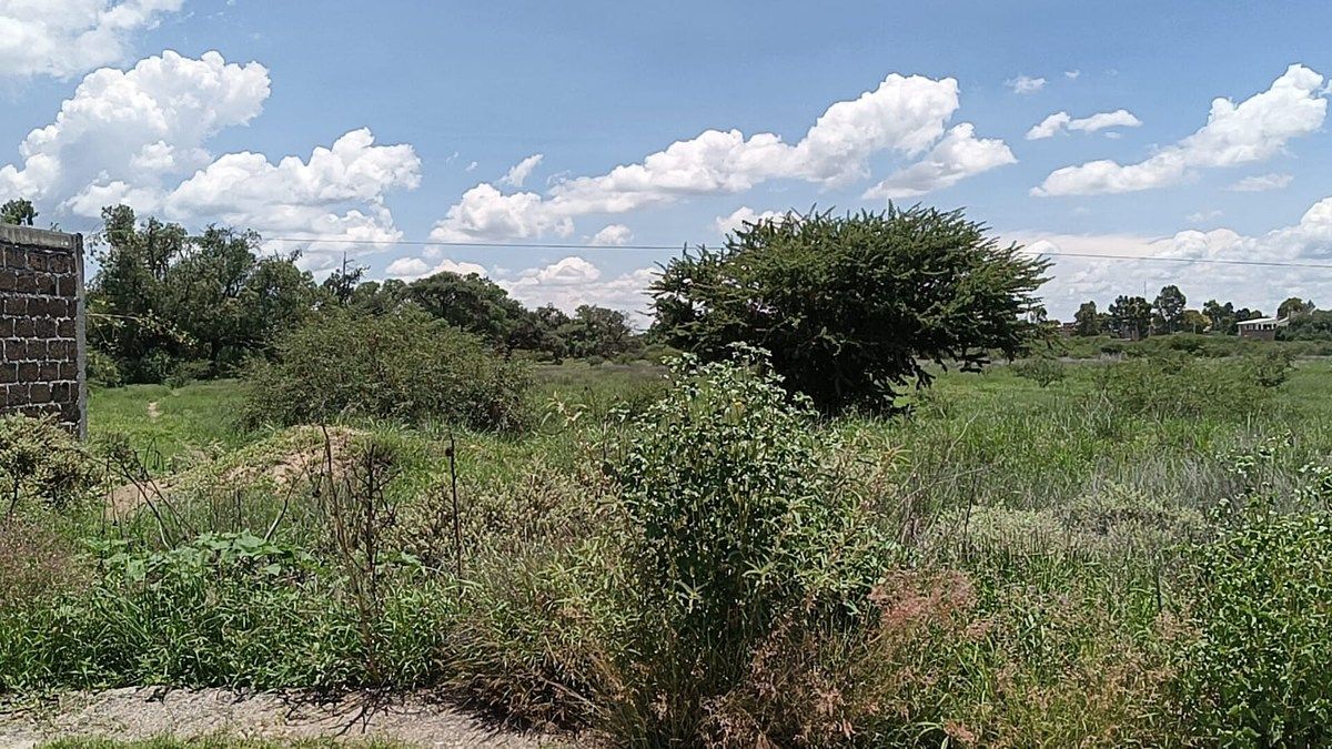 Terreno en Fracción el Maravillal, San Luis de la Paz, foto 4 de 4