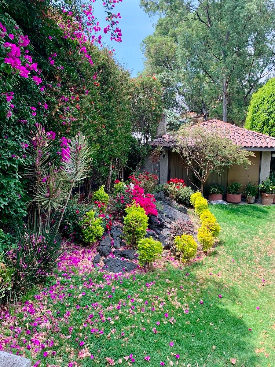 Apartment in Jardines del Pedregal de San Ángel, Coyoacán, photo 5 of 6