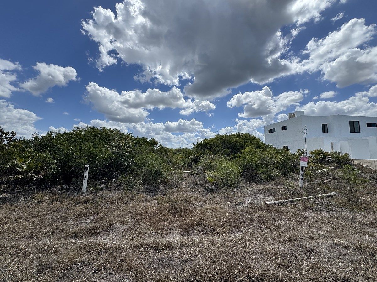 Terreno à venda de 275 m2 na praia de San Benito, Dzemul., foto 1 de 17
