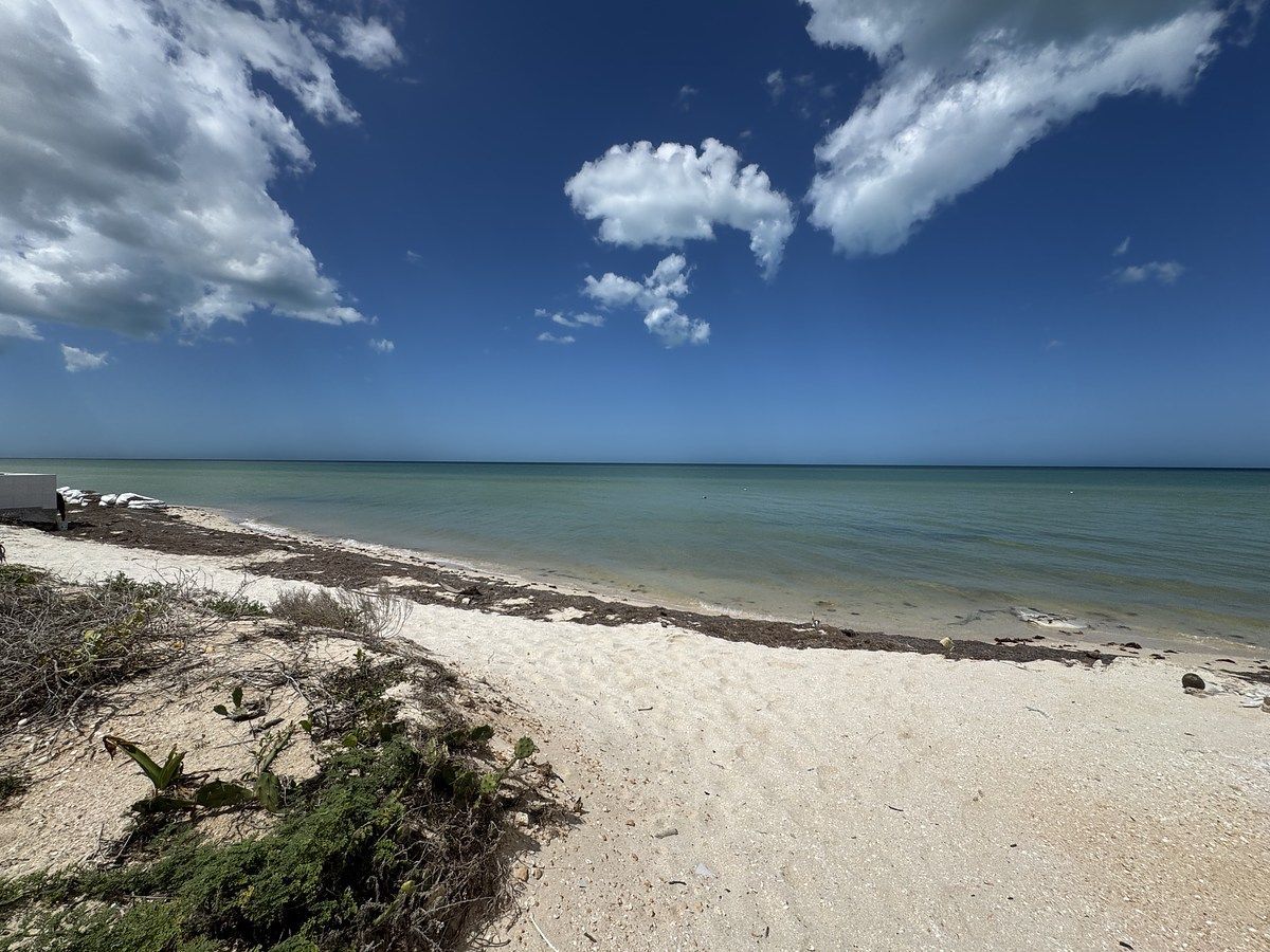 Lote em San Benito, Dzemul, foto 2 de 17