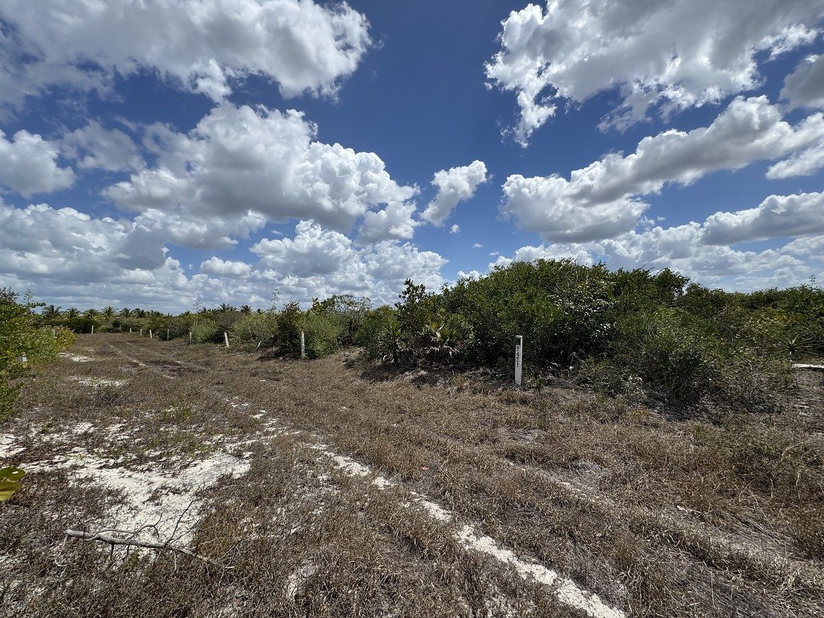 Lote em San Benito, Dzemul, foto 3 de 17