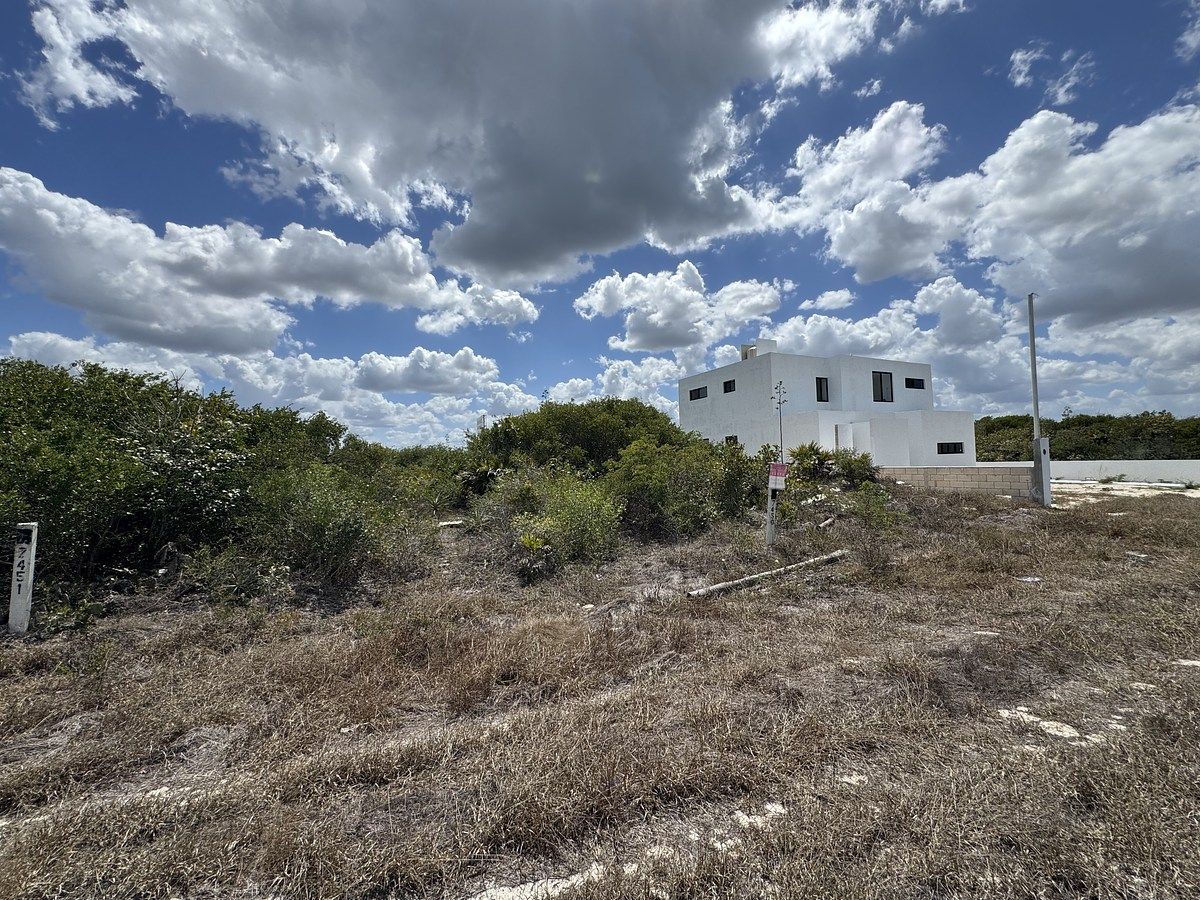 Lote em San Benito, Dzemul, foto 5 de 17