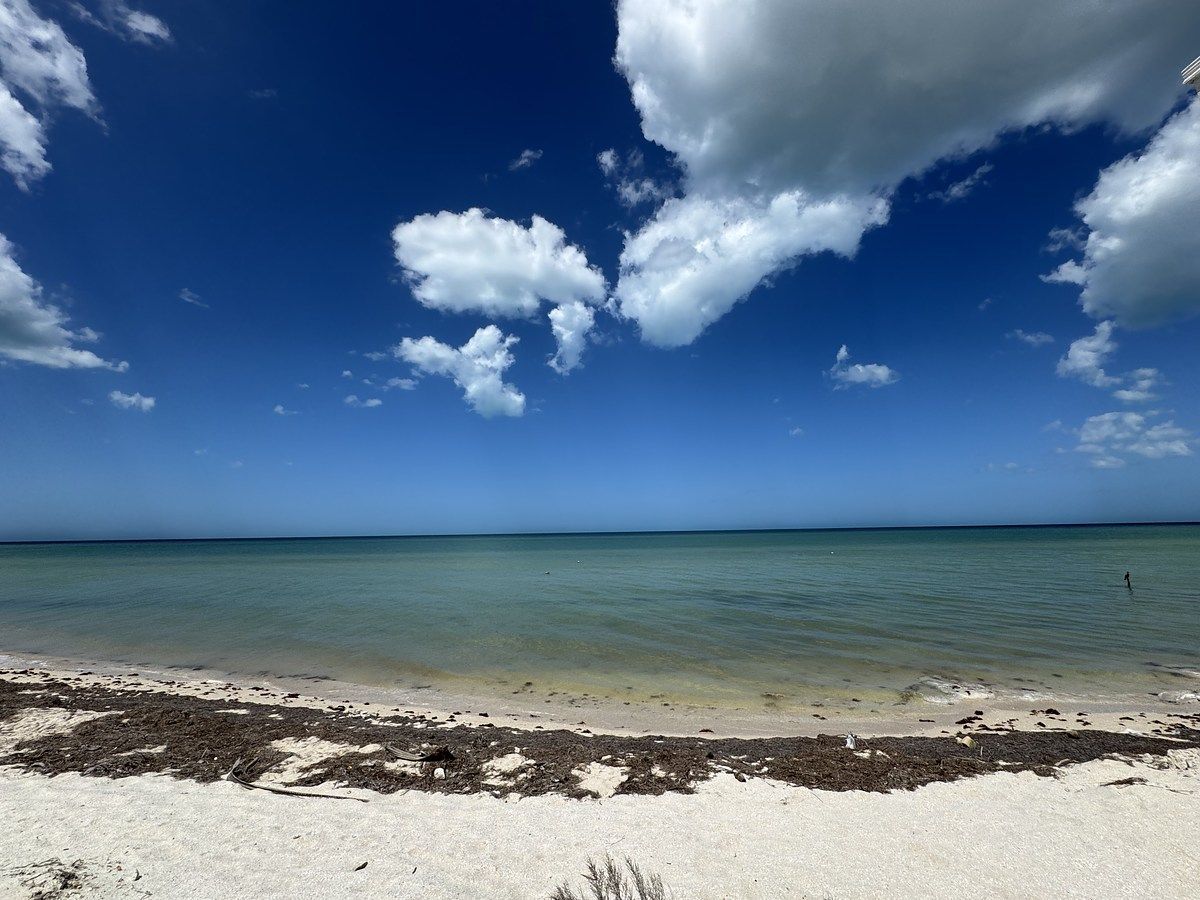 Lote em San Benito, Dzemul, foto 10 de 17