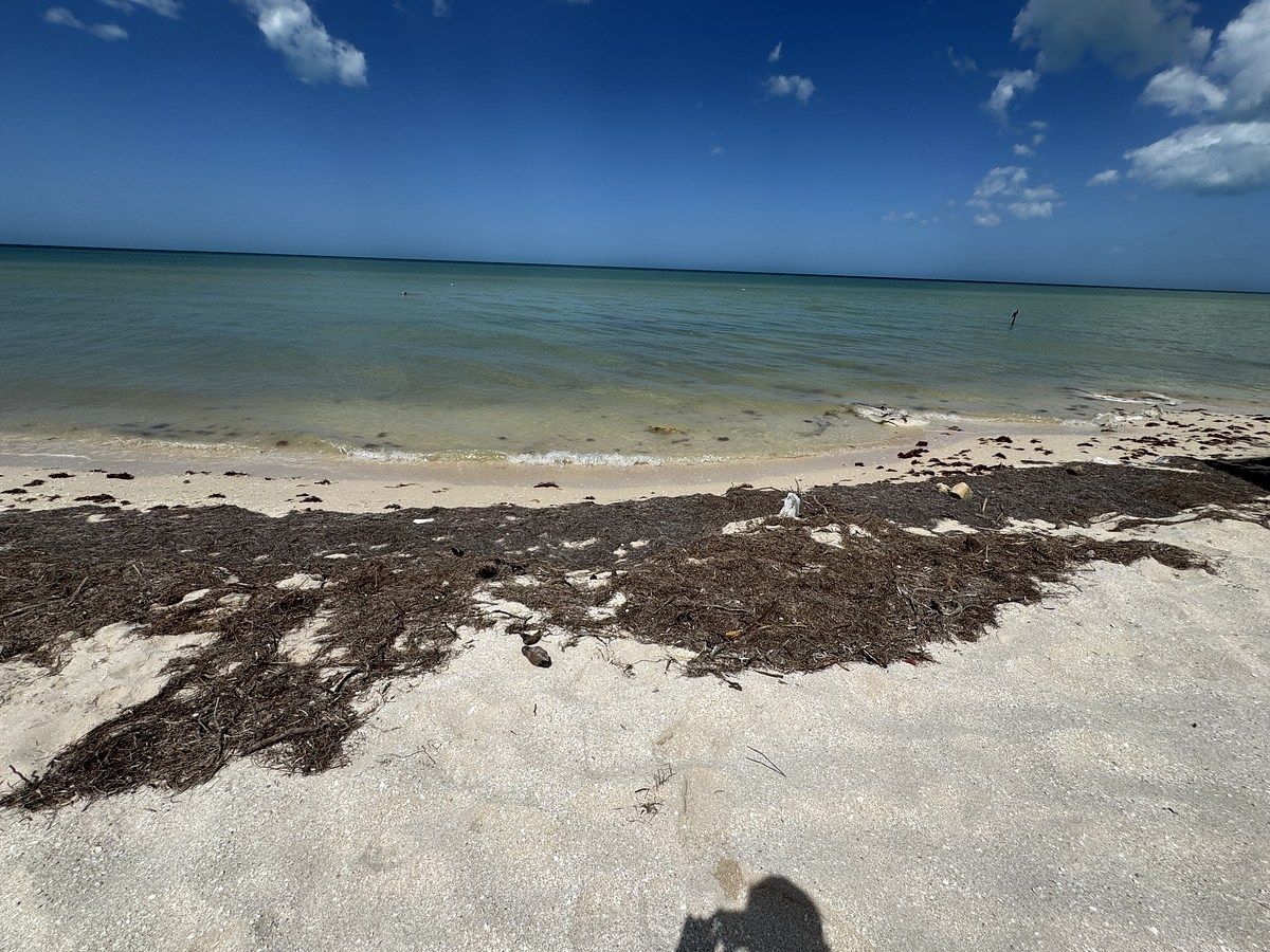 Lote em San Benito, Dzemul, foto 17 de 17