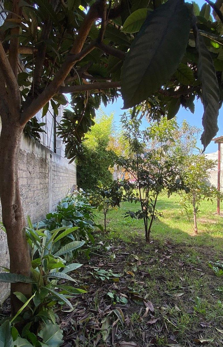 Lot in San Bartolo Ameyalco, Álvaro Obregón, photo 3 of 13