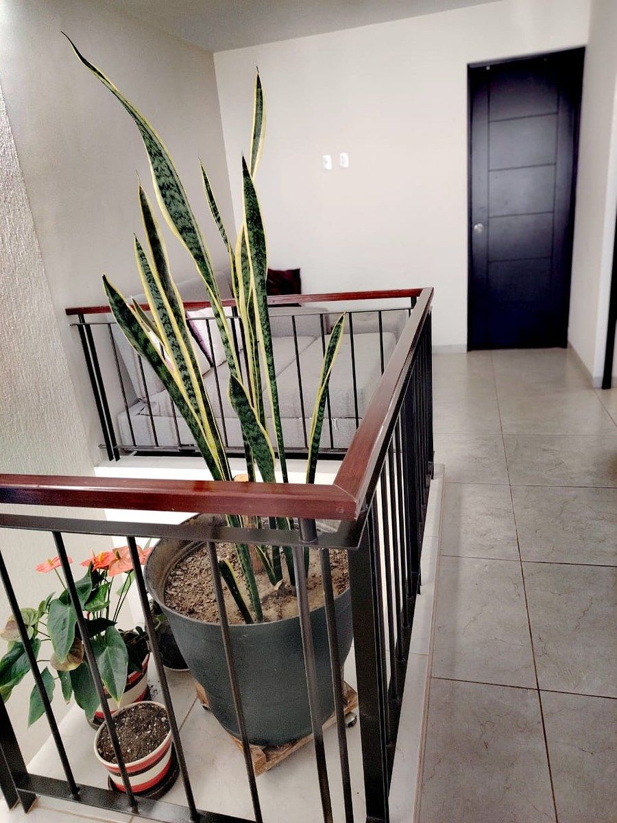 Casa en Catara Residencial, San Luis Potosí, foto 14 de 15