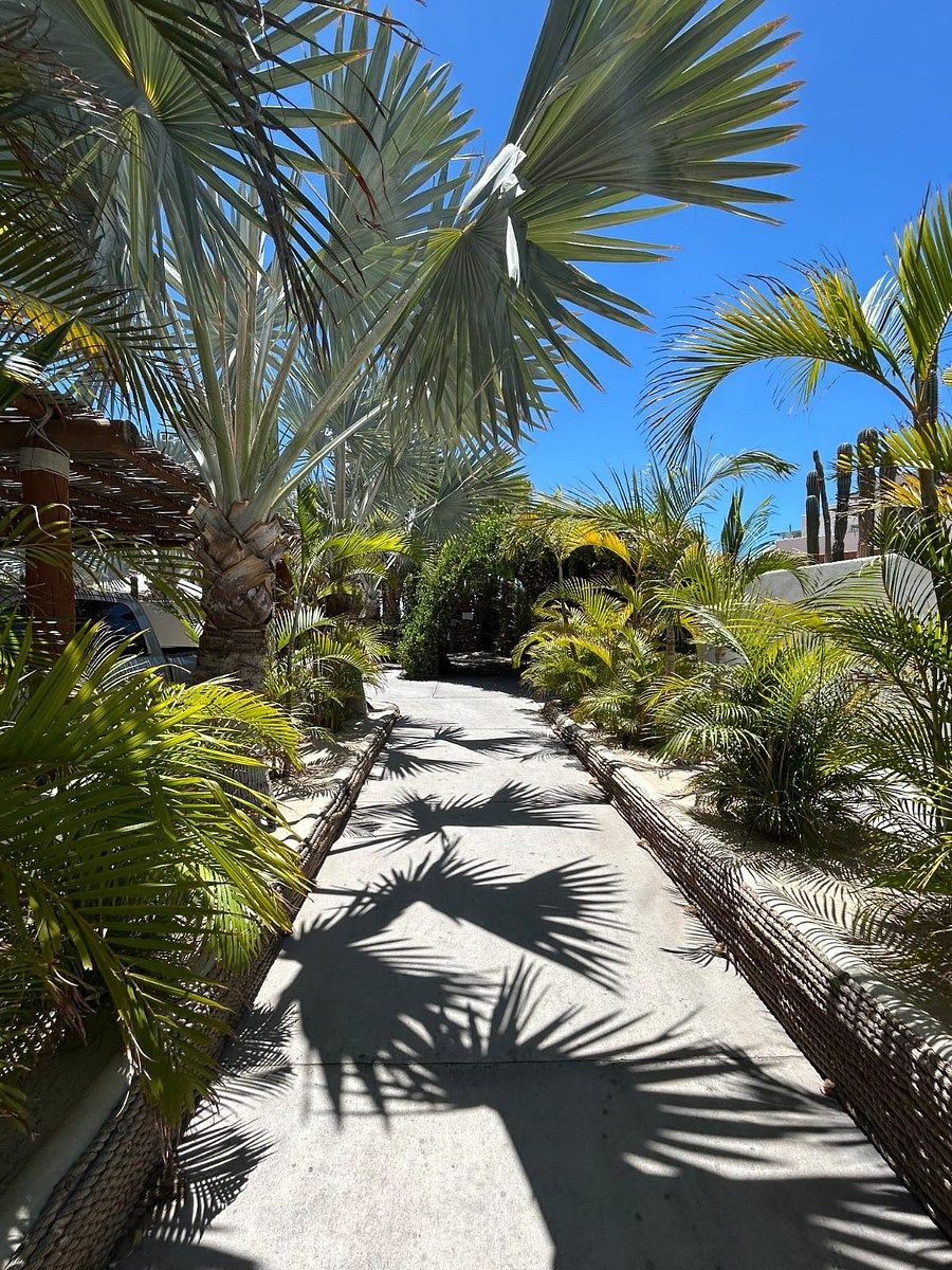 Casa en Lomas de Palmira, La Paz, foto 23 de 25