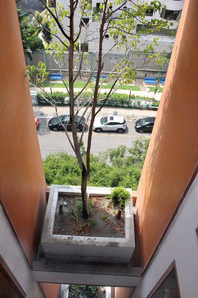 Apartamento em Bosques de las Lomas, Cuajimalpa de Morelos, foto 24 de 24