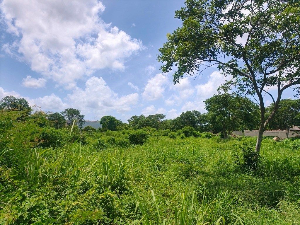 Terreno en Conkal, Conkal, foto 3 de 22