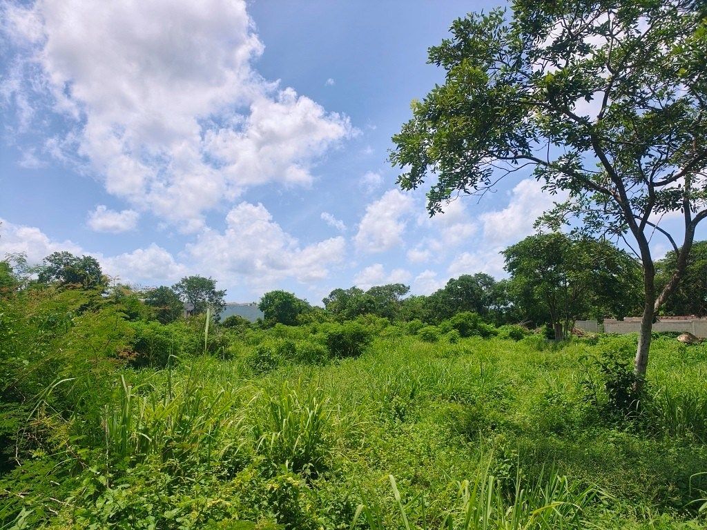 Terreno en Conkal, Conkal, foto 6 de 22