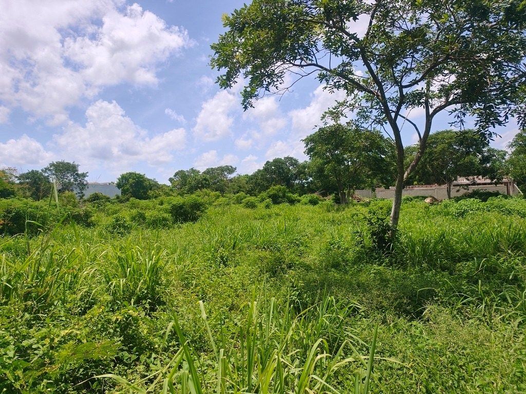 Terreno en Conkal, Conkal, foto 10 de 22
