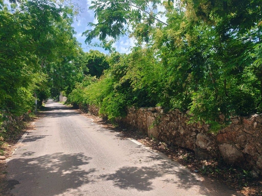Terreno en Conkal, Conkal, foto 11 de 22