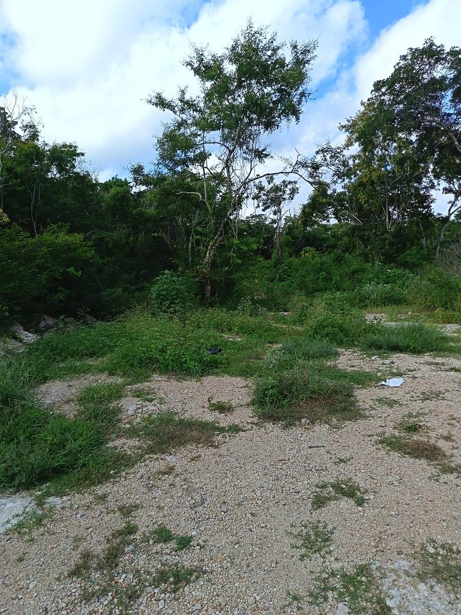 Terreno en Cholul, Mérida, foto 4 de 4
