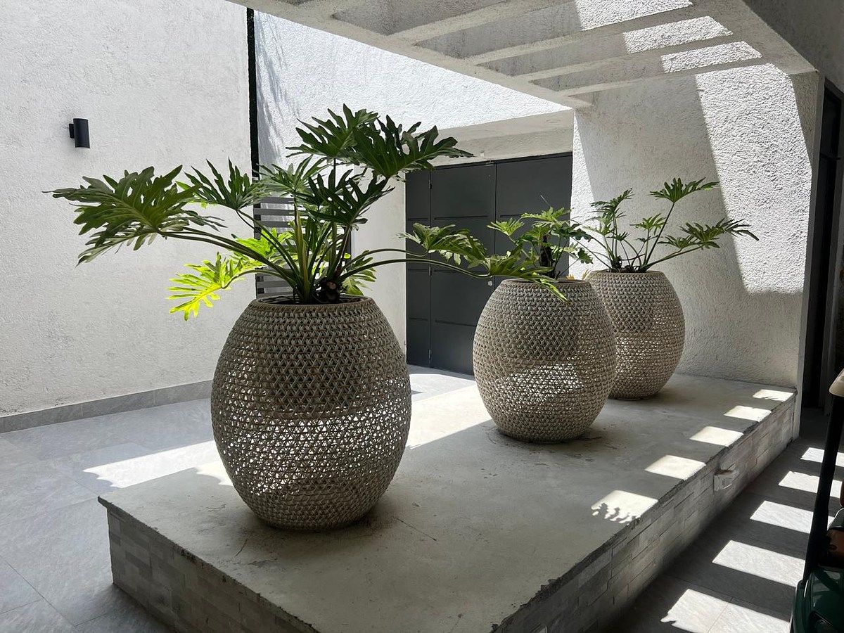 Casa en El Uro Oriente, Monterrey, foto 2 de 23