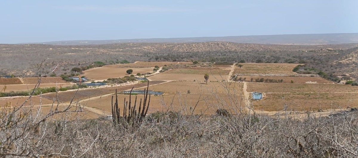 Terreno en La Cahchora, Todos Santos, foto 5 de 6