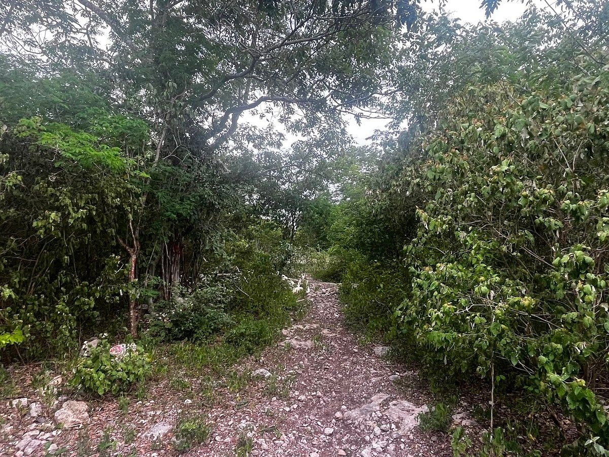 Lote em Paraíso, Progreso, foto 3 de 4
